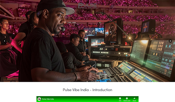 Pulse Vibe – Website